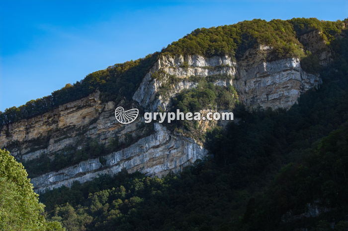 Pli faillé (Jura) - gryphea.com